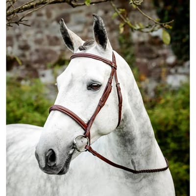 Paardrijd hoofdstel met teugels Horseware Hunter