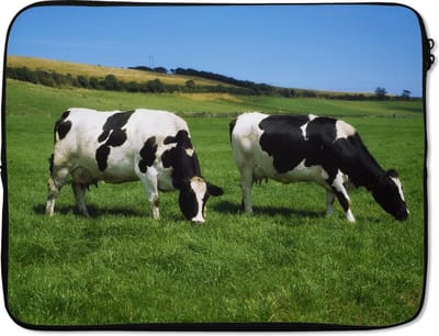 Laptophoes 17 inch - Koe - Dieren - Gras - Laptop sleeve - Binnenmaat 41x28 cm - Zwarte achterkant