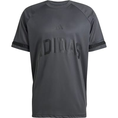Adidas Seasonal Essentials Us Sport T-shirt Met Korte Mouwen Grijs M / Regular Man