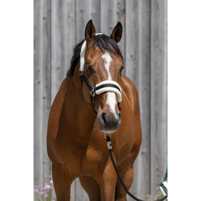 Synthetisch schapenvacht halster voor paarden Riding World