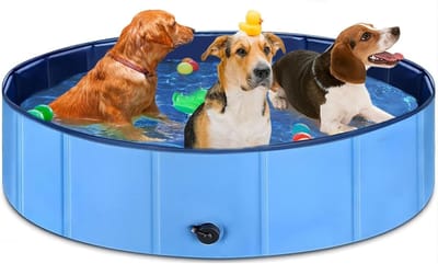 Opvouwbare Hondenbadkuip voor Kleine Honden, 80 cm, Draagbare Paddling Pool, Slijtvaste en Antislip PVC Zwembad met Afvoerklep