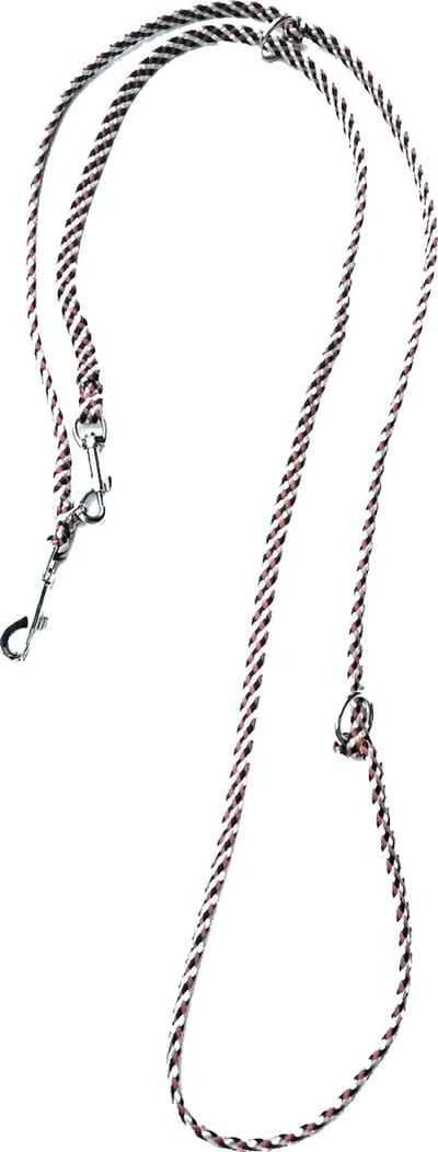 Abany quality design – luxe - hondenlijn - politielijn - 3 standenlijn – puppy - riem - trainingslijn - 2.50 meter - 5R1907  - beige