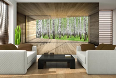 Window Forest Trees Green Nature Photo Wallcovering