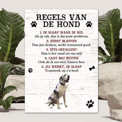 Spreuken - Duitse Dog - Regels Van De Hond - Spreuken Bordjes - Spreukenbord - Tekstborden - Cadeau - Hondenras