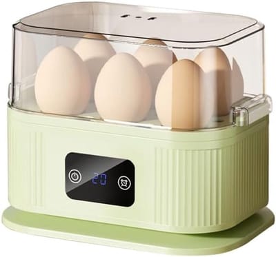 Eierkoker - Mini Draagbare Eierkoker Eierstoompan voor Thuisgebruik - Snel Elektrisch Koken voor tot 6 Eieren - Compact Ontbijt Apparaat voor Dagelijks Gebruik - Groene Kleur