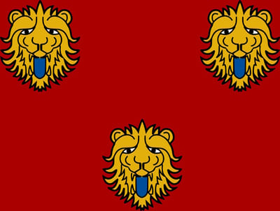 Vlag Staden 100x150cm
