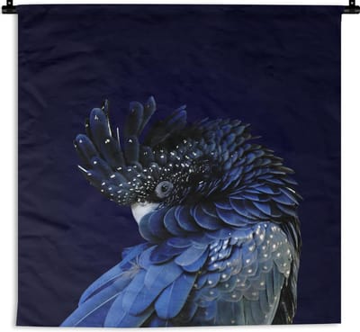 Wandkleed Kaketoes - Blauw gekleurde kaketoe met een donkere achtergrond Wandkleed katoen 60x60 cm - Wandtapijt met foto