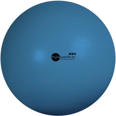 FysioSupplies - PHYSIO Fitball GO 55 cm – Blauw - Fitballen