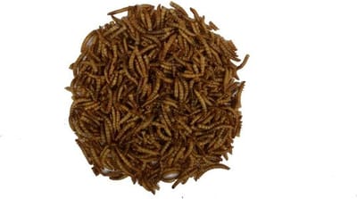 Wielink Gedroogde Meelwormen 10KG