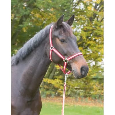 Covalliero Halster Hippo Bordeaux/Beige Full