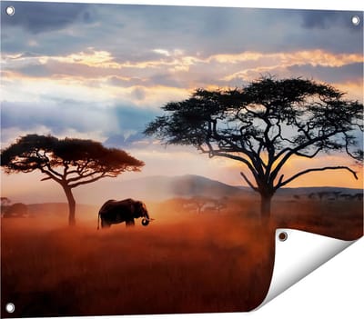 Gards Tuinposter Olifant in het Wild - Savanne - 80x60 cm - Tuindoek - Tuindecoratie - Wanddecoratie buiten - Tuinschilderij