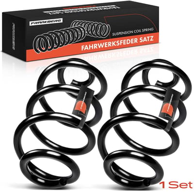 Frankberg 2x Veer Achteras voor Renault Clio III BR0/1 CR0/1 16L