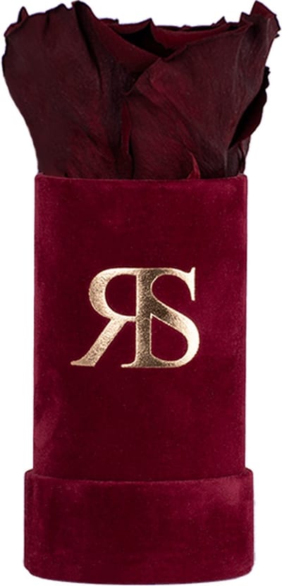 Flowerbox Longlife Ivy "Unconditional Love" Rood – Rosuz - Luxe Verpakt - Klein Valentijnsdag Cadeau - Echte Longlife Roos in Rode Box - Als Symbool van Onvoorwaardelijke Liefde