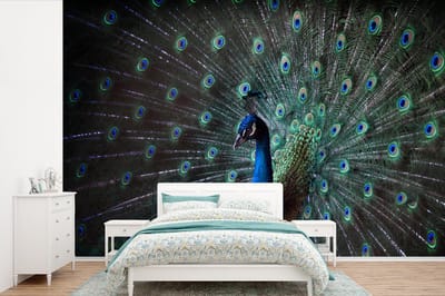 Behang - Fotobehang Pauw - Veren - Kleuren - Breedte 330 cm x hoogte 220 cm