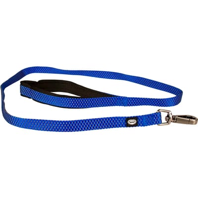 Duvoplus - Uitlaatriem Voor Dieren - Hond - Explor East Leiband Nylon S-m 120cm/15mm Blauw - 1st