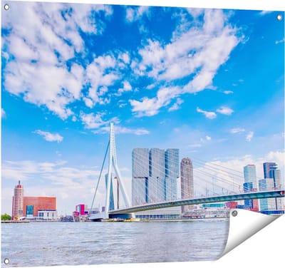 Gards Tuinposter Erasmusbrug aan het Water in Rotterdam - 100x80 cm - Tuindoek - Tuindecoratie - Wanddecoratie buiten - Tuinschilderij