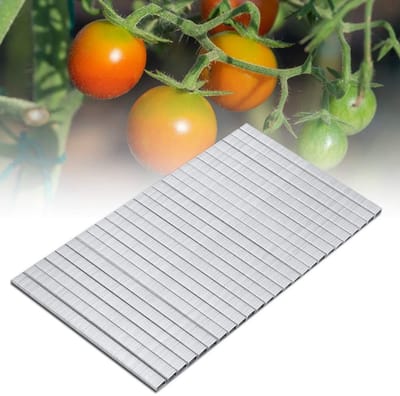 10000 stuks installatie gereedschap voor behang met stalen klemmen, bindnagels en takverbinding voor fruitbomen en tomatenplanten