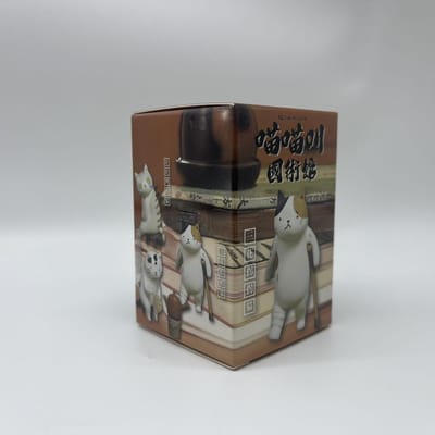 Kat Traditionele Chinese Geneeskunde Acupunctuur Krijgskunsten Zaal Blind Box Genezing Emotioneel Mini Actiefiguur Verjaardagscadeaus