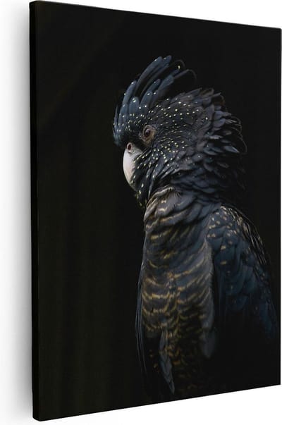 Artaza Canvas Schilderij Zwarte Vogel - 40x50 cm - Wanddecoratie Dieren - Muurdecoratie Papegaai - Kamer Accessoires