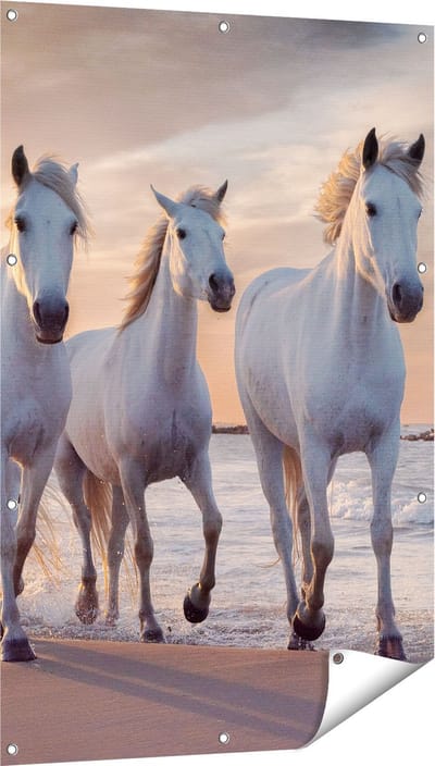 Gards Tuinposter Witte Paarden op het Strand bij Water - 80x120 cm - Tuindoek - Tuindecoratie - Wanddecoratie buiten - Tuinschilderij