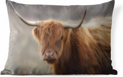 Sierkussen Schotse hooglander voor buiten - Close up van een Schotse hooglander - 50x30 cm - rechthoekig weerbestendig tuinkussen / tuinmeubelkussen van polyester