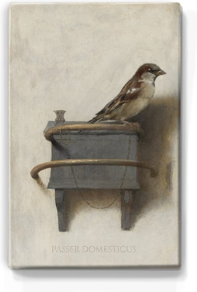 Huismus - Mini Laqueprint - 9,6 x 14,6 cm - Niet van echt te onderscheiden handgelakt schilderijtje op hout - Mooier dan een print op canvas.
