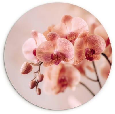 WallCircle® Wandcirkel 120x120 cm - Muurcirkel Orchidee - Bloemen - Roze - Bloemblaadjes - Muurdecoratie woonkamer - Wanddecoratie slaapkamer - Kamer decoratie accessoires - Ronde schilderijen XXL