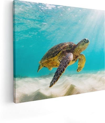 Artaza Canvas Schilderij Schildpad - 50x40 cm - Muurdecoratie Strand - Wanddecoratie Zee - Kamer Accessoires
