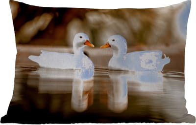 Buitenkussens - Tuin - Eend - Wit - Dieren - Water - Vogel - Eenden - 50x30 cm