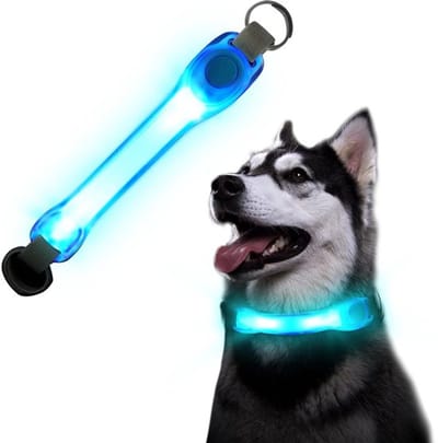Dailygoody - Oplichtende halsbanden - LED-halsband voor honden