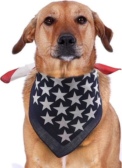 Hondenbandana met Amerikaanse Vlag | Multifunctionele Neckerchief | Sterren en Strepen Design | Accessoires voor Hondenhalsband, 1 Stuk