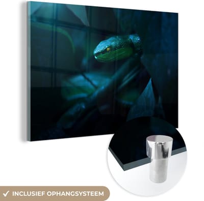 MuchoWow® Glasschilderij 60x40 cm - Schilderij acrylglas - Slang - Macro - Hout - Foto op glas - Schilderijen
