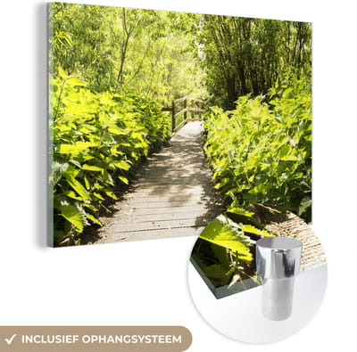® Glasschilderij 180x120 cm - Schilderij acrylglas - Een wandeling door een pad vol dat omringd is met brandnetelplanten - Foto op glas - Muurdecoratie woonkamer - Wanddecoratie slaapkamer - Schilderijen