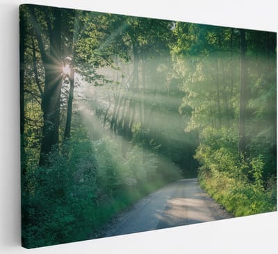 Saammp Canvas Schilderij - bos - Pad met zonsondergang - Landschap - Natuur - 30x20 - Foto op canvas - Wanddecoratie - Muurdecoratie Woonkamer - Slaapkamer decoratie - Canvas Print