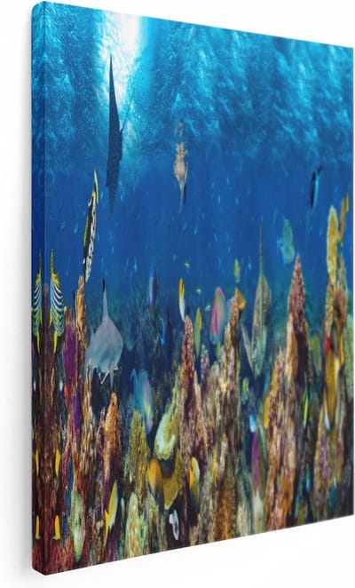 Artaza Canvas Schilderij Tropische Vissen - 30x40 cm - Klein - Wanddecoratie Koraalrif - Muurdecoratie Zeeschildpad - Kamer Accessoires Onderwaterwereld