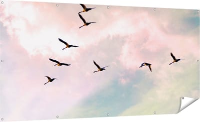 Gards Tuinposter Groep Vogels Vliegen Boven het Gras - 200x100 cm - Tuindoek - Tuindecoratie - Wanddecoratie buiten - Tuinschilderij
