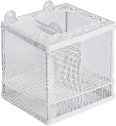 Dailygoods - Pawfly Aquarium viskweeknet broed box met nylon mesh en zuignappen visscheidend net, kleine isolatiebox voor visbroed, garnalen en vechtvissen Betta