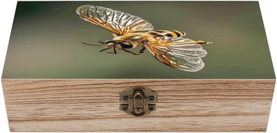 Houten opbergdoos - Aandenkistje juwelendoos - Spullen bewaren - Scharnierend deksel - 20 cm - Natuurlijk hout