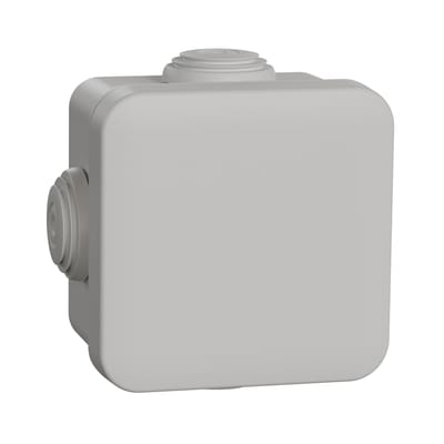 Schneider Electric Sarel MUREVA Opbouw wand-/plafonddoos - ENN05002 [2 stuks]