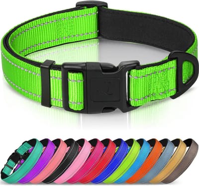 Reflecterende hondenhalsband, zachte neopreen gewatteerd, metalen D-ring, nylon halsband verstelbaar voor extra grote honden, groen, XS