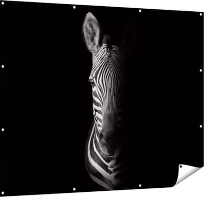 Gards Tuinposter Halve Zebra - Zwart Wit - 150x120 cm - Tuindoek - Tuindecoratie - Wanddecoratie buiten - Tuinschilderij