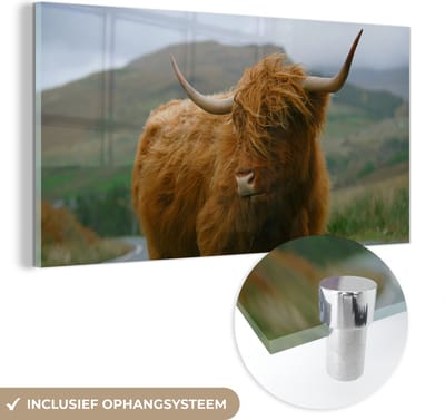 MuchoWow® Glasschilderij 40x20 cm - Schilderij acrylglas - Schotse Hooglander - Berg - Weg - Foto op glas - Schilderijen