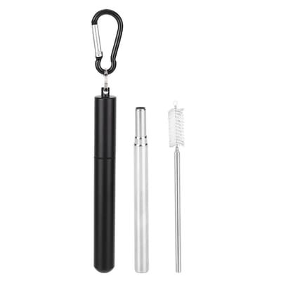 Dailygoods- Rietje herbruikbaar - Telescopisch rietje - Roestvrij staal - Inclusief reinigingsborstel - Geschikt voor thuis/kantoor - 23 cm lengte - Stro