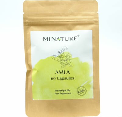 Amla Capsules 60 stuks - 450mg Amla Poeder Per Vegan Capsule - Gooseberry, Emblica Fruit Powder - 100% Plantaardig