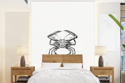 Behang - Fotobehang Ernst Haeckel - Vintage - Kunst - Krab - Breedte 160 cm x hoogte 220 cm