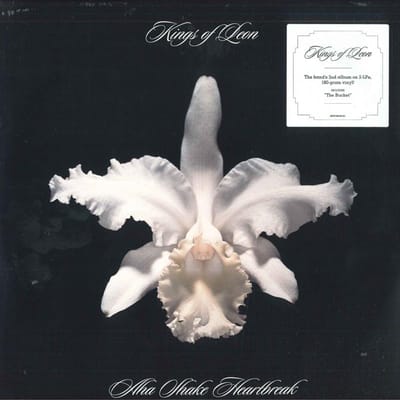 LP Plaat KINGS OF LEON - Aha Shake Heartbreak 88697985461 RCA Records, Le 2013 US Rock gray