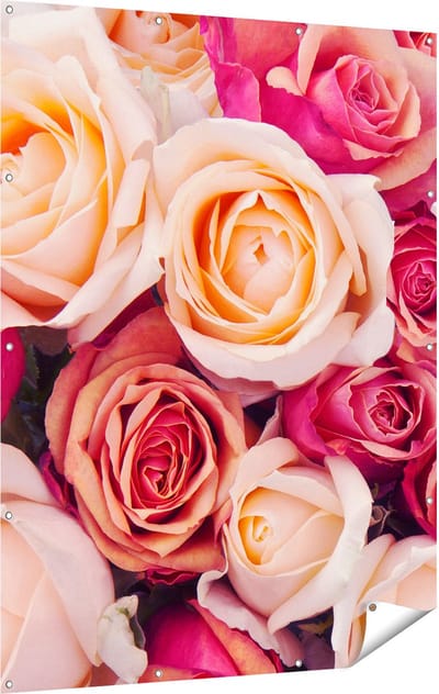 Gards Tuinposter Roze Rozen Achtergrond - Bloemen - 120x160 cm - Tuindoek - Tuindecoratie - Wanddecoratie buiten - Tuinschilderij