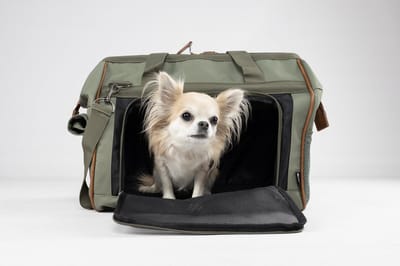Flamingo hondendraagtas Hannah Groen – Comfortabele draagtas hond met ventilatiegaas, opbergvakken & karabijnhaak – 47x26,5x34 cm