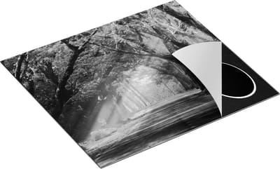 Chefcare Inductie Beschermer Weg Omringd met Bomen - Zwart Wit - 60x50 cm - Afdekplaat Inductie - Kookplaat Beschermer - Inductie Mat