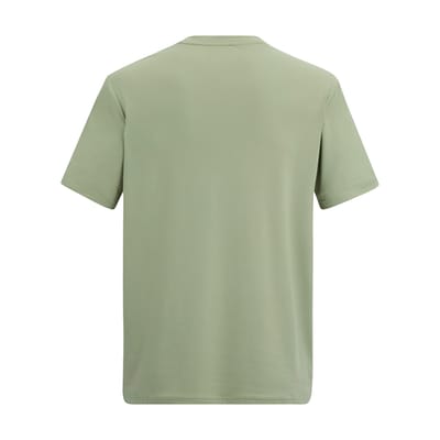 Regatta Heren Fingal Mountain T-Shirt (Lichte Salie)